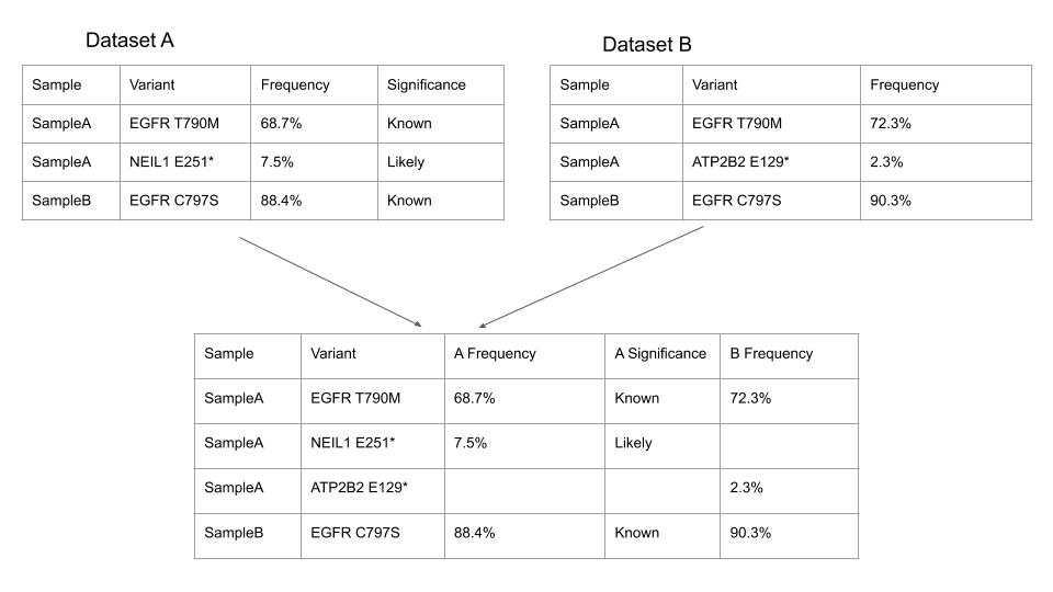 Example dataset setup